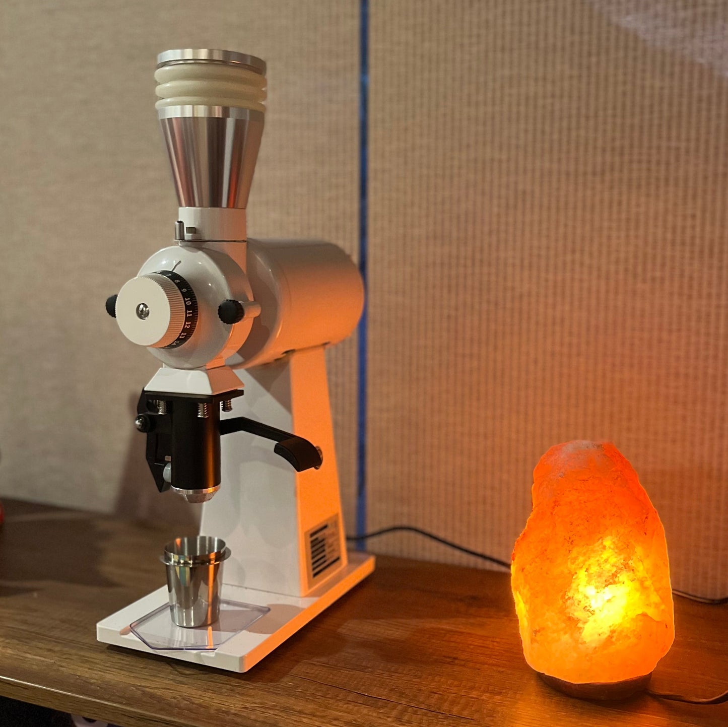 Molino de Café Profesional 90 mm 600W