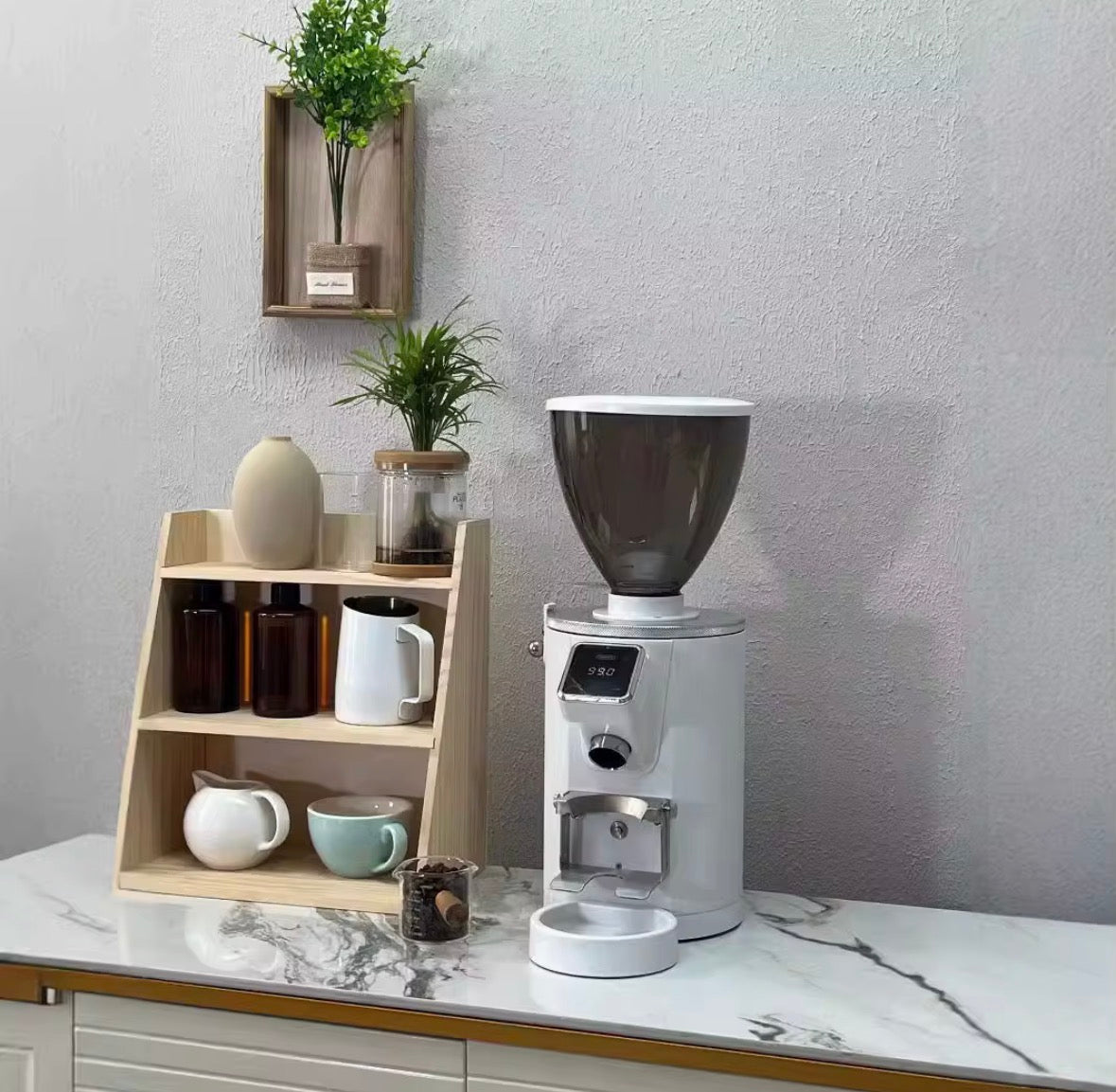 Molino de Café 64mm 350W GML1007 | Alto rendimiento
