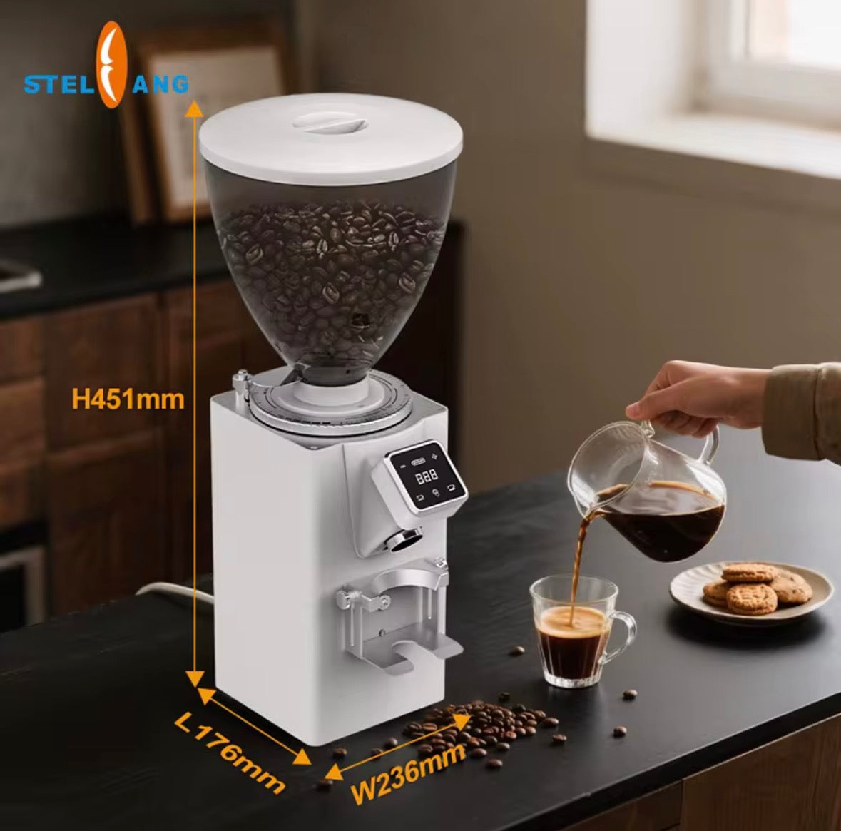 Molino de Café 64mm 350W GML1009 | Precisión Profesional
