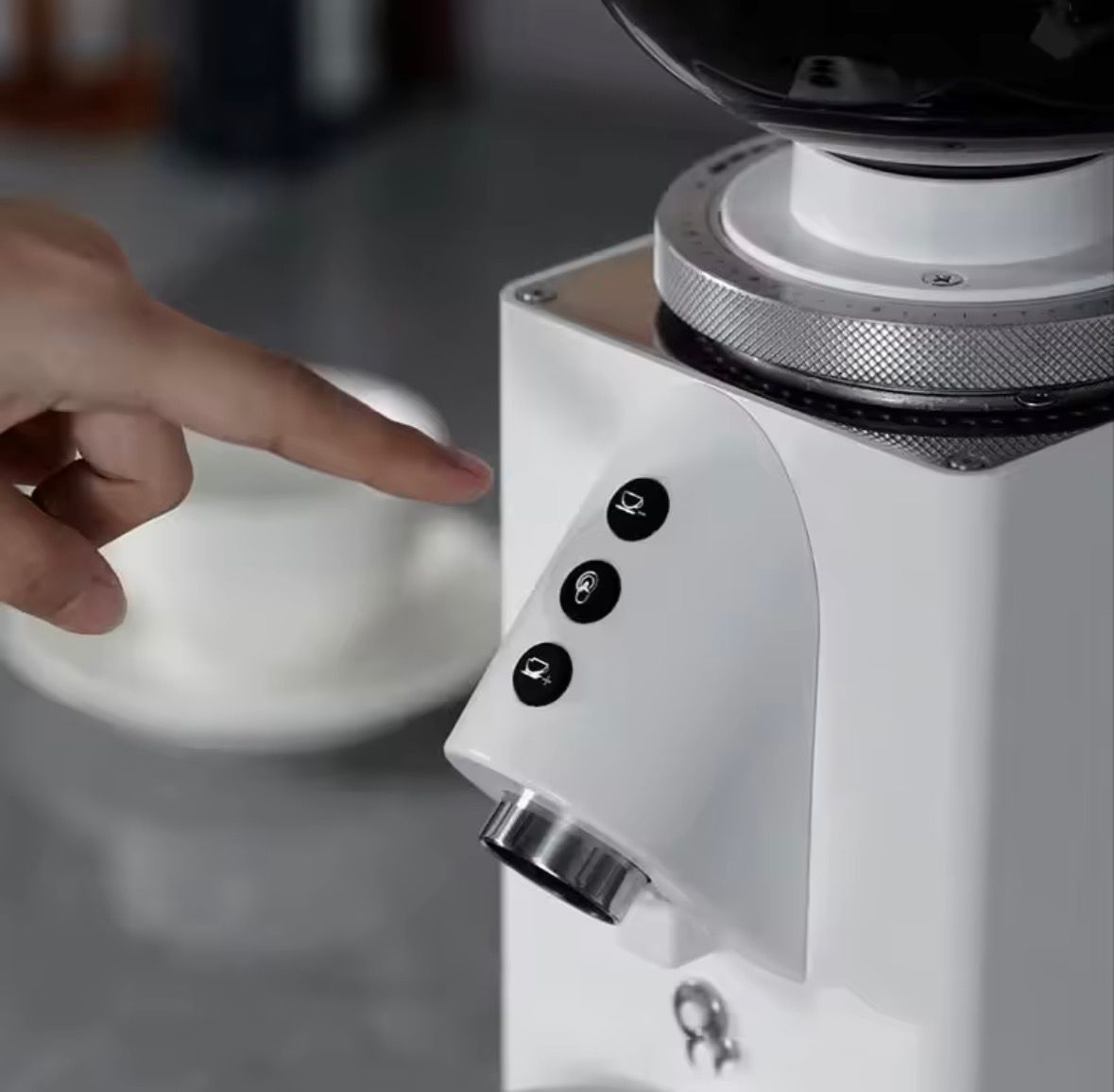 Molino de Café 60mm 250W GML1006 | Semi-Pro | Comercial Ligero